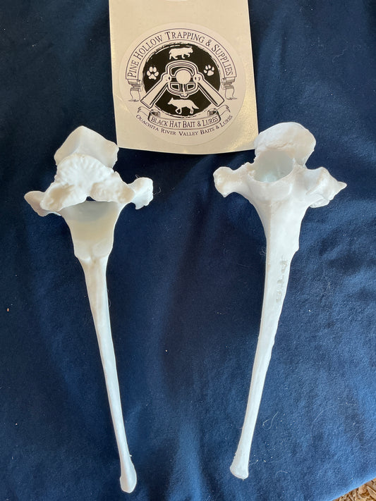 Vertebrae Bone-synthetic material