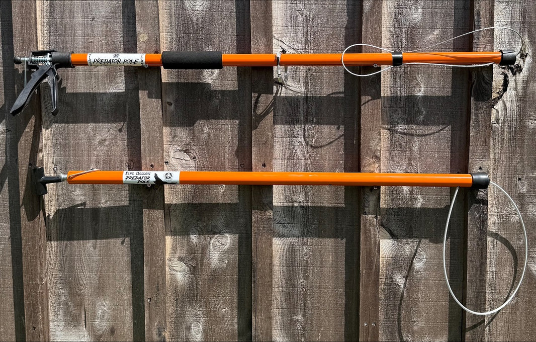 Pine Hollow Trapping and Supplies