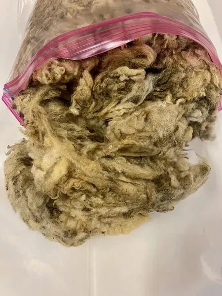 All Natural Sheep Wool