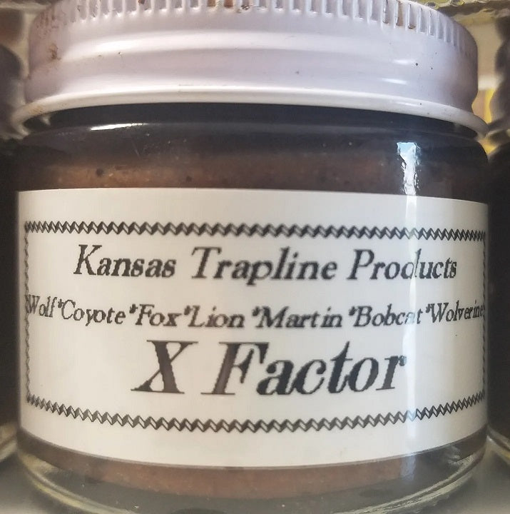 X Factor
